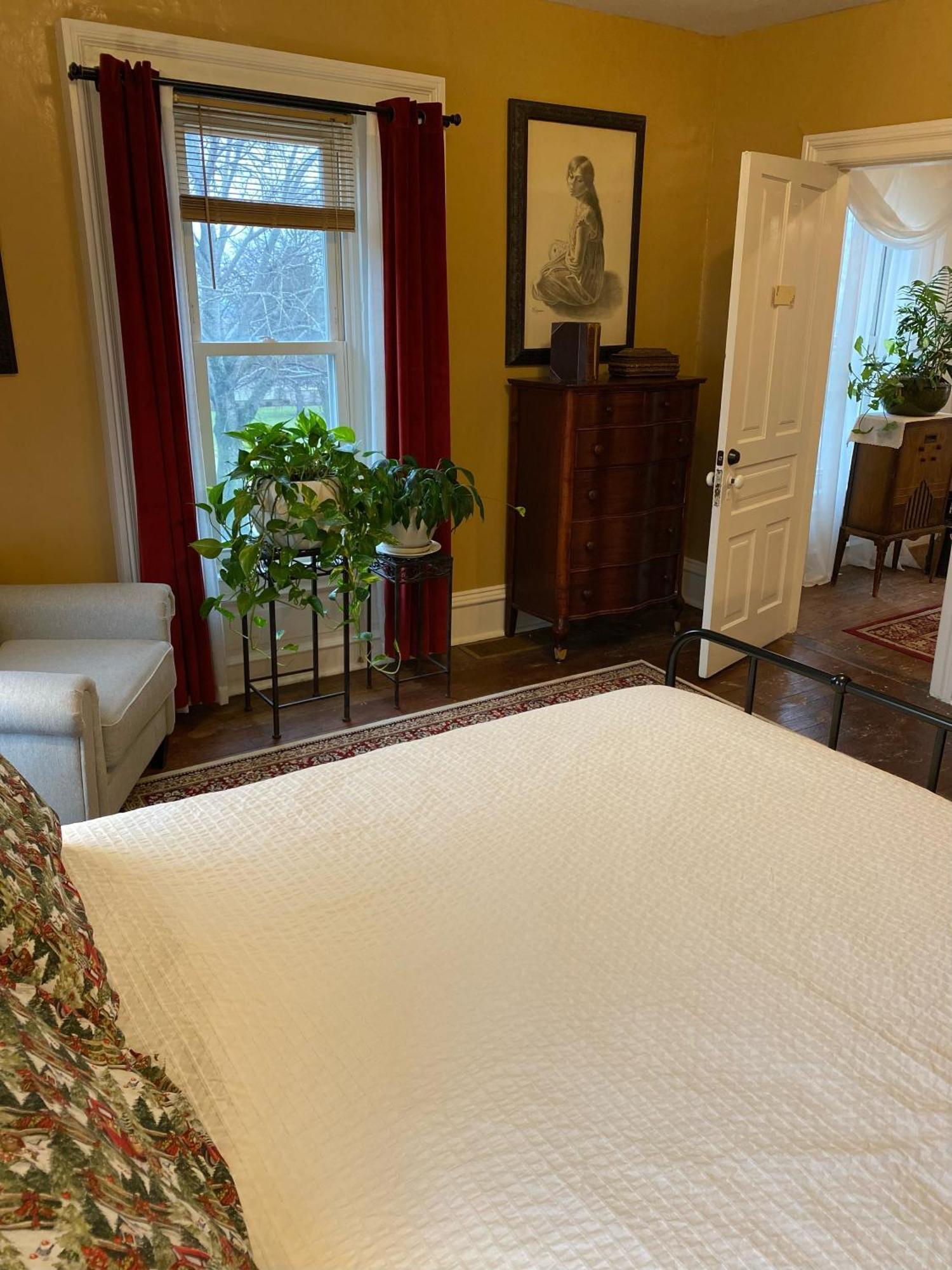 The Vine Bed & Breakfast, Llc Dundee Exterior foto
